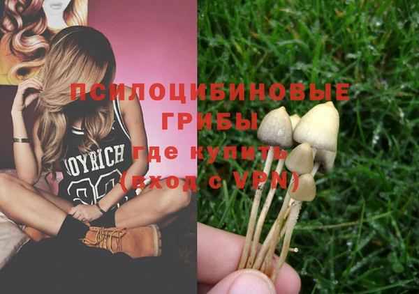 дурь Арсеньев