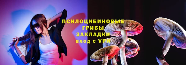 дурь Арсеньев