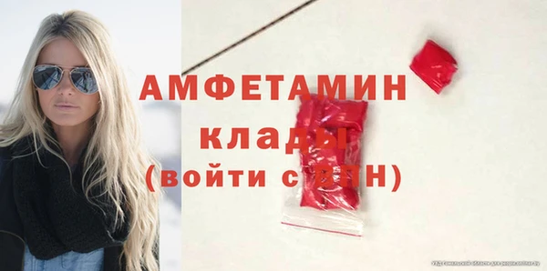 амф Аркадак