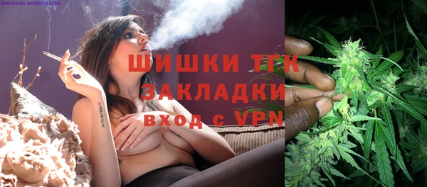 амф Аркадак