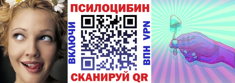Галлюциногенные грибы Psilocybine cubensis  Можга 